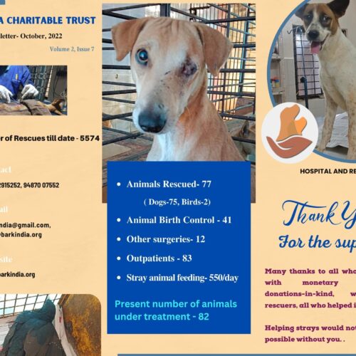 Bark India Charitable Trust (2) Animal rescue charity India