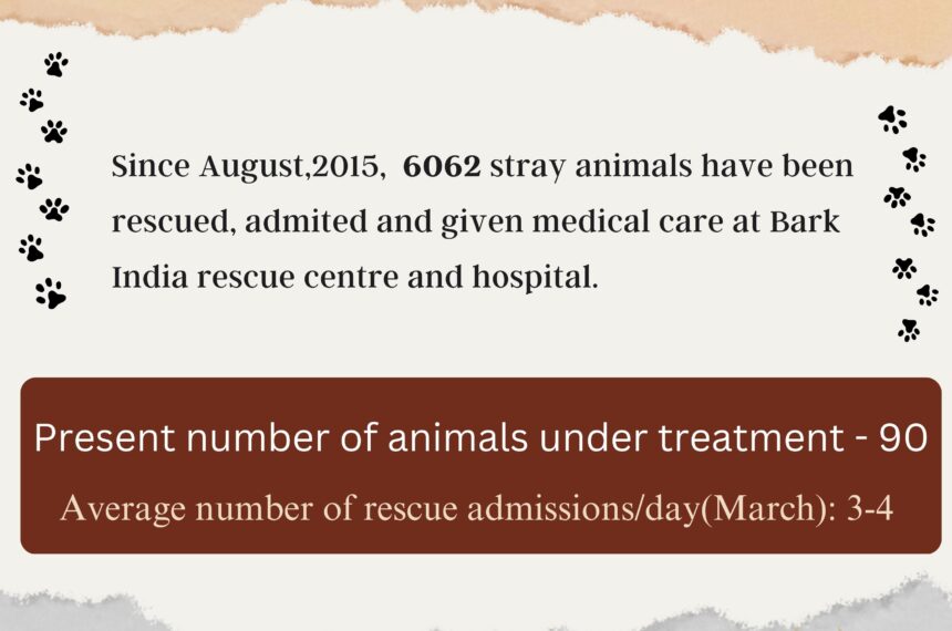 Help Animals in India- 6000+ Rescues
