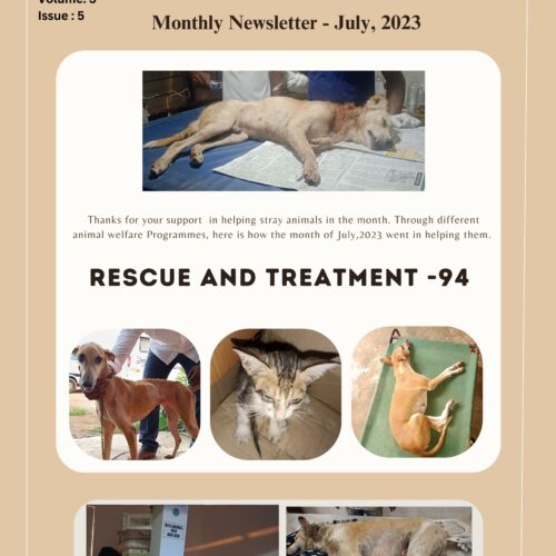 Non-profit organisation for stray animals Animal rescue and treatment