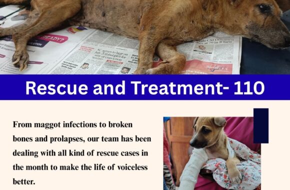 Orange and White Minimalist Company Newsletter December 2025: A Month of Hope, Healing & Humanity